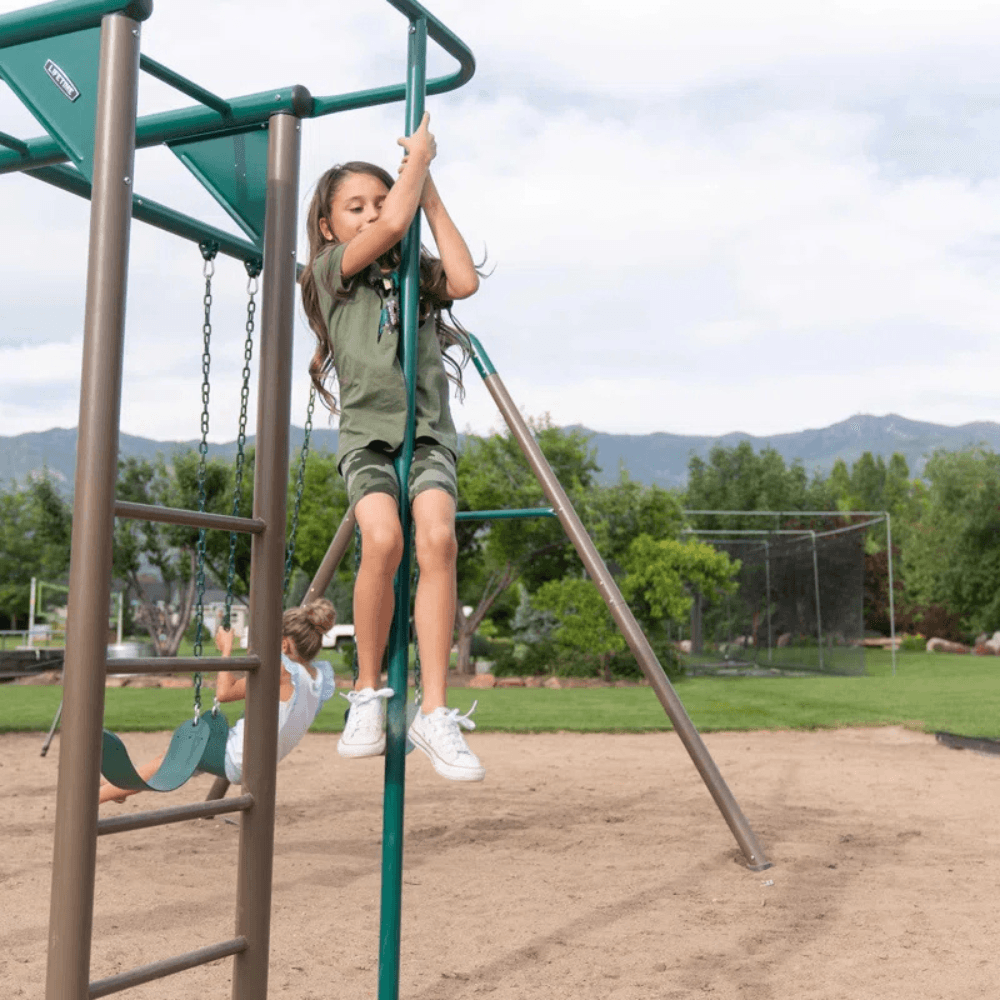 Lifetime Powder Coated Steel Swing Set with 4 Swing(s) , 1 Slide(s) image 3