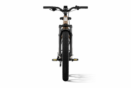 Aventon Aventure 3 Step-Through for E-bike image 3